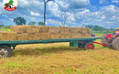 UTILISATION DES EQUIPEMENTS AGRICOLES : CHAUFFEURS ET MECANICIENS EN FORMATION.