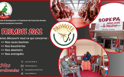 SODEPA AU SALON PROMOTE 2022 : OBJECTIF VISIBILITE