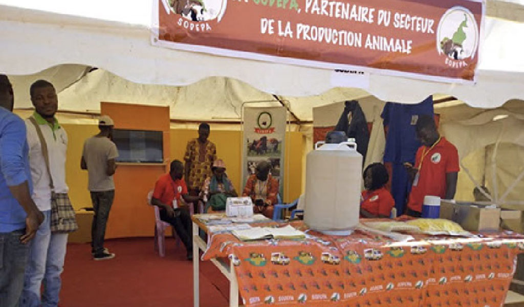 You are currently viewing La SODEPA présente à la foire du bétail à Ngaoundéré