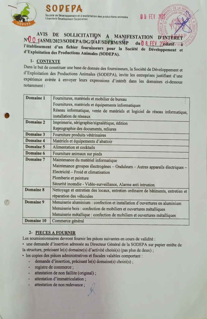 Бисексуалды қара нәсілділер